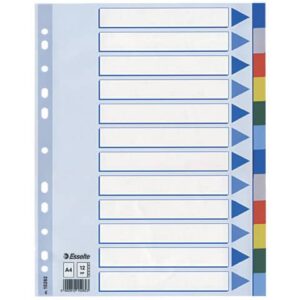 Divisore intercalare Esselte polipropilene A4 12 tasti
