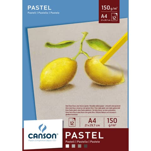 Blocco collato lato corto CANSON Dessin Couleur bianco, nero, grigio chiaro