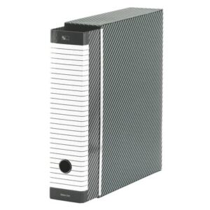 Registratore con custodia Esselte G13 Delsoline commerciale dorso 8 cm cartone