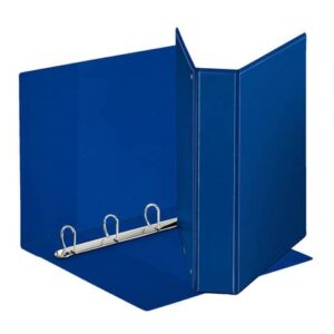 Raccoglitore personalizzabile Esselte Display a 4 anelli a D 50mm PP