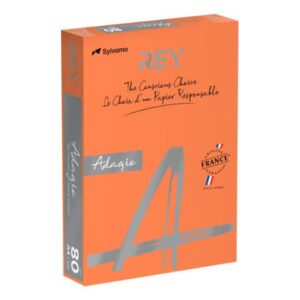 Carta colorata A4 Sylvamo Rey Adagio 80 g/m² arancio 21 -