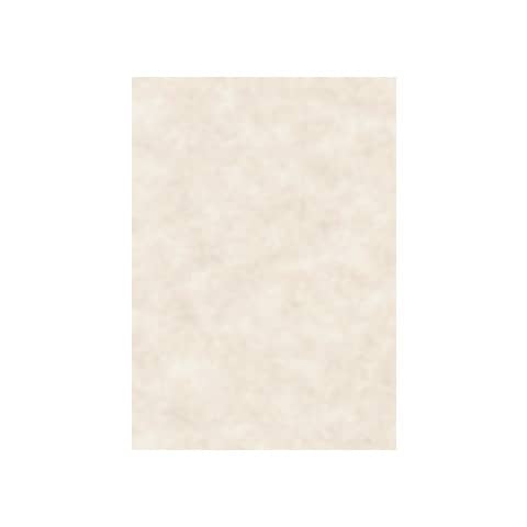 Carta pergamenata Decadry Linea Corporate A4 avorio 95 g/m²