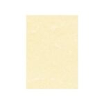 Carta pergamenata Decadry Linea Corporate A3 champagne 165 g/m²