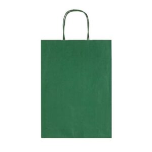 Sacchetti da regalo Rex-Sadoch Allegra tinta unita Dark 36x12x41 cm verde