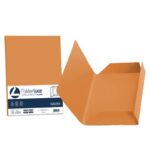 Cartellina 3 lembi Favini FOLDER 3L Luce&Acqua 200 g/m² 24,5x34,5cm