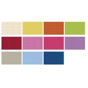 Carta da regalo in fogli Rex-Sadoch Ecocolor Kraft Light 70x100 cm assortiti