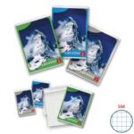 Blocco punto metallico 50 fogli Pigna Cervino A5 5mm