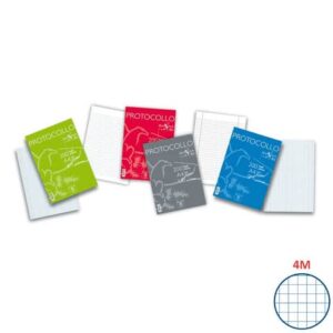 Fogli protocollo Pigna A4 quadretti 4M