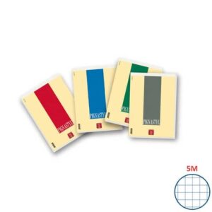 Blocco punto metallico 70 fogli Pigna Pignastyl A4 5mm