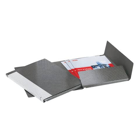 Cartelle a 2 lembi Esselte I55 DELSO LINE 12/I50 bianco/grigio 25x32 cm dorso