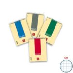 Blocco spiralato 60 fogli Pigna Pignastyl A5 5mm