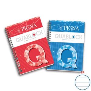 Blocco spiralato 120 fogli Pigna Quablock a 4 fori A4 1R