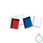 Pigna Liberty 4-hole spiral bound 100 sheets A4 5mm