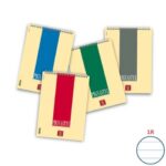 Spiral notebook 60 sheets Pigna Pignastyl A4 1R