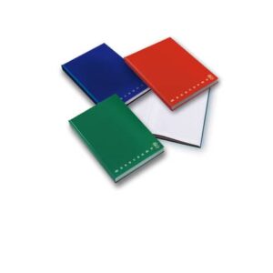 Registro 194 fogli Pigna Monocromo A4 quadretti 5 mm assortiti