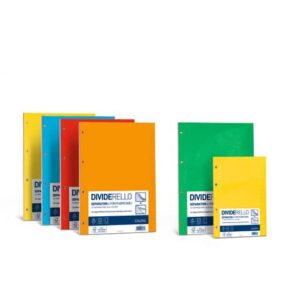 Divisore FAVINI Dividerello 20 tasti raccoglitori 10 col. assortiti 22x30cm