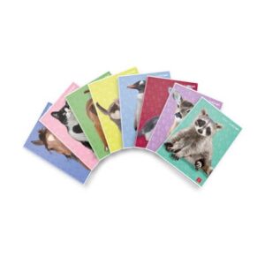 Quaderno 42 fogli PIGNA Dolci Cuccioli A4 a quadretti 5M assortiti