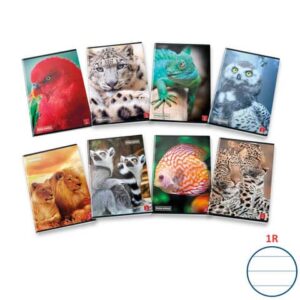 Quaderno 42 fogli PIGNA Animal A4 a righe 1R assortiti