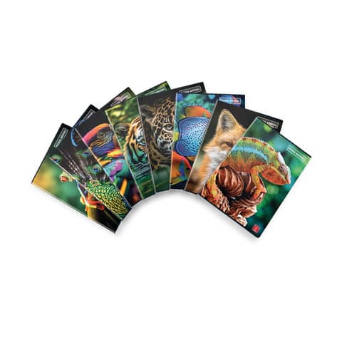 Notebook 42 sheets PIGNA Animal A4 ruled 0B with assorted margins