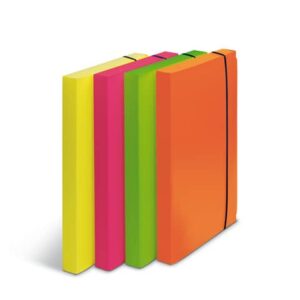 Scatole portaprogetti Leonardi Fluo dorso 3 cm PPL assortiti