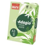 A3 Sylvamo Rey Adagio Coloured Paper 160 gsm green 81 -