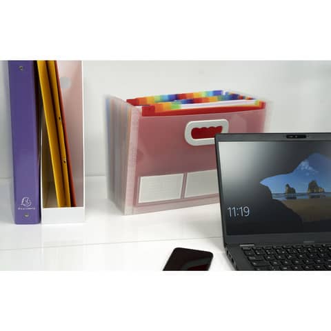 Classificatore valigetta Crystal Colours cristallo 24 scomparti 33x23,5x25cm