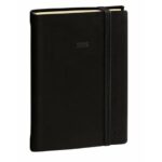 Agenda giornaliera 2025 Quo Vadis Daily 21 Prestige Silk 13x21 cm