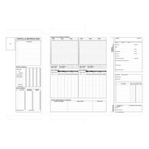 Cartellina matricolare del dipendente data ufficio 32,5x25,5 cm