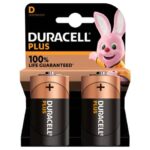 Batteria alcaline Duracell Plus100 Torcia D - MN1300 -