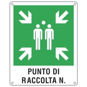 Cartello d'emergenza 40x50 cm Cartelli Segnalatori "Punto di raccolta"