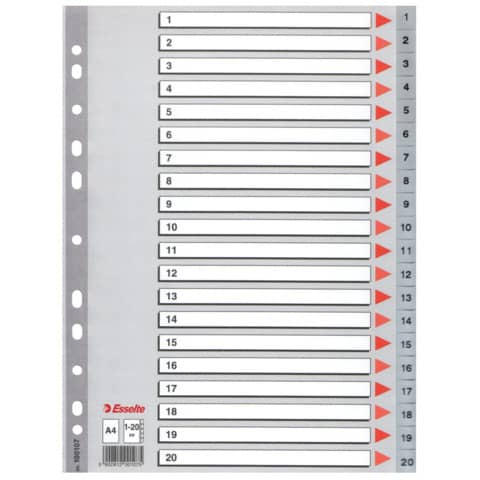Divisori per rubrica Esselte A4 PPL numerica 1-20