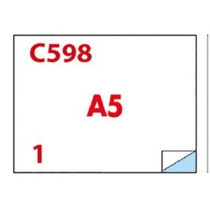 Etichette bianche Copiatabu C598 laser/inkjet 2 et./foglio - conf. 100
