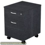 1 drawer+ 1 filing cabinet 41.8x52xH.59.5 cm with wheels mounted