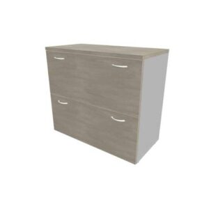 Armadio basso cemento con scocca argento 90x45xH.81,5 cm con due classificatori