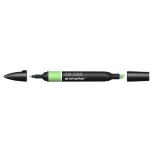 Pennarelli doppia punta Winsor&Newton Promarker apple G338 -