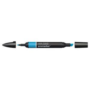 Pennarelli doppia punta Winsor&Newton Promarker aegean B146 -