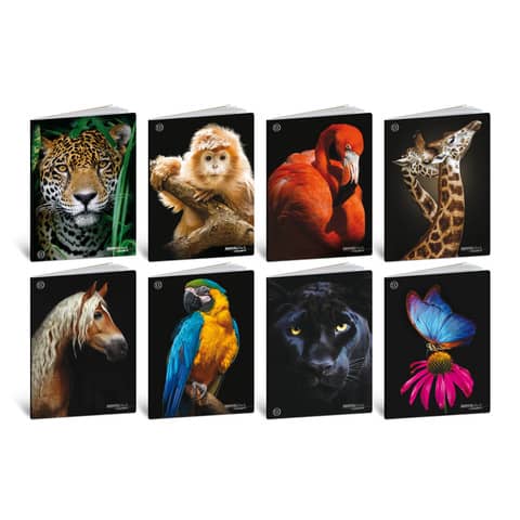 Maxi quaderni Blasetti Animali formato A4  carta 100 g conf. 10 pezzi