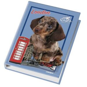 Raccoglitore ad anelli Blasetti - 4 anelli Ø 30 - 26x32 cm per fogli A4 -