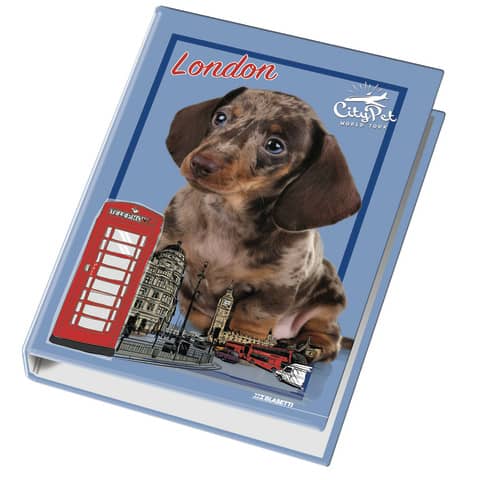 Raccoglitore ad anelli Blasetti - 4 anelli Ø 30 - 26x32 cm per fogli A4 -