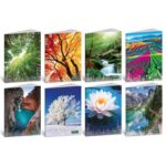 Maxi quaderno Blasetti Quadecò formato A4  carta 80 g conf. 10 pezzi