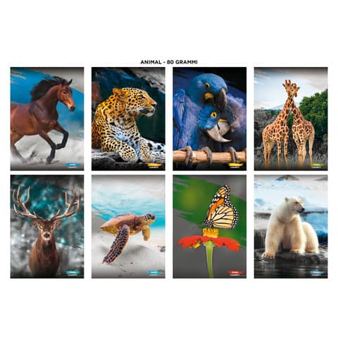 Maxi quaderni Blasetti Animali formato A4  carta 80 g conf. 10 pezzi